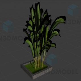 3д модель Маленького растения на травяном полу