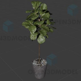 3d модель реалистичного растения с большими листьями в бетонном горшке