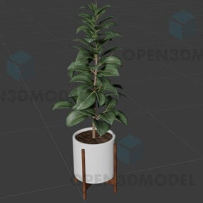 3D модель реалистичного горшечного растения с большим листом на деревянной подставке