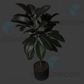 3д модель растения с большими листьями в горшке