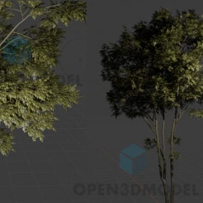 Bel arbre feuilles vertes modèle 3D