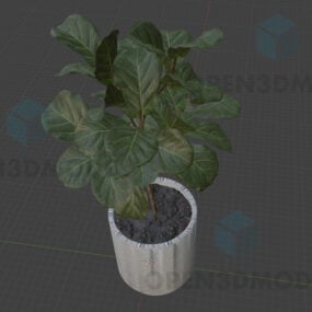 Big Leaves Plant In Ceramic Pot 3d model