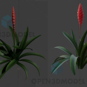 Bregneplanter med rød blomst 3d-model