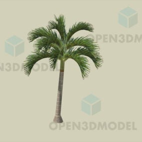 Adonidia棕榈树3d模型