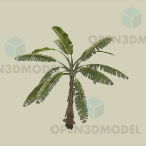 شجرة الموز، نبات الموز الاستوائي، نموذج ثلاثي الأبعاد