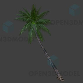Low Poly Coconut Tree 3d-modell