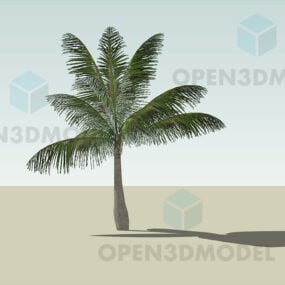 דגם 3D של עץ קוקוס גמד