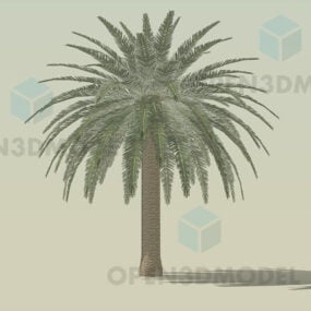 Mô hình 3d cây cọ Low Poly, cây cọ sa mạc
