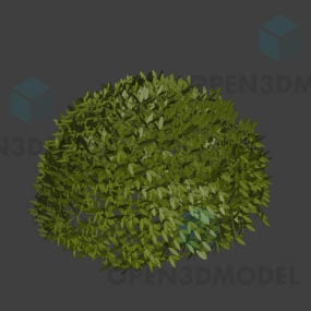 Modelo 3d de planta de arbustos macios