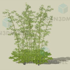 Bambú con planta arbustiva modelo 3d