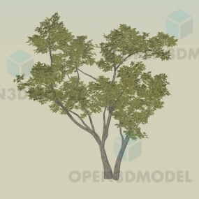 3д модель садового дерева с зелеными листьями