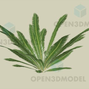 户外植物，蕨类植物3d模型