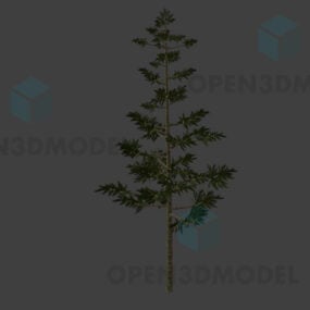 Model 3d Pokok Pine Kecil