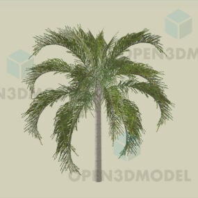 Palme, Zwergpalme 3D-Modell