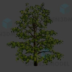 مدل سه بعدی درخت باغ با شاخه بزرگ