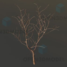 Gałąź drzewa bez liści Model 3D