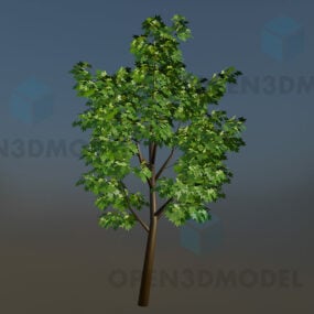 3д модель молодого дерева с зелеными листьями