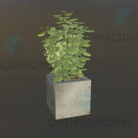 3д модель мелколистного растения в бетонном горшке