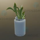 Small Leaf Plant In White Vase