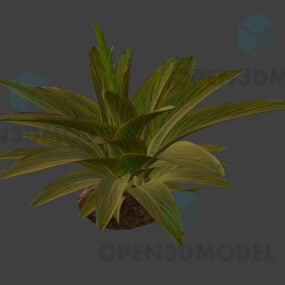 Aloha Plant Leaf On Solid Ground 3d model