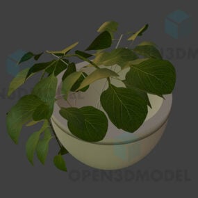 Potteplante med små grønne blade 3d-model