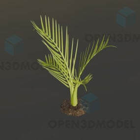 Palmbladplant op grond 3D-model