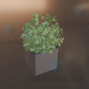 نبات محفوظ بوعاء في وعاء خرساني نموذج ثلاثي الأبعاد