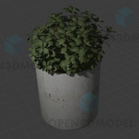 3д модель горшечных растений в бетонном горшке