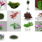 14 정원 식물, 꽃, 나무 무료 3D 모델 리소스, 2024년 XNUMX월