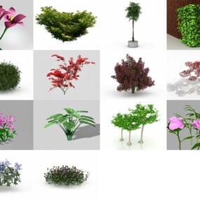 Ressurser for 14 hageplanter, blomster, trefrie 3D-modeller, 2024d-modell april 3